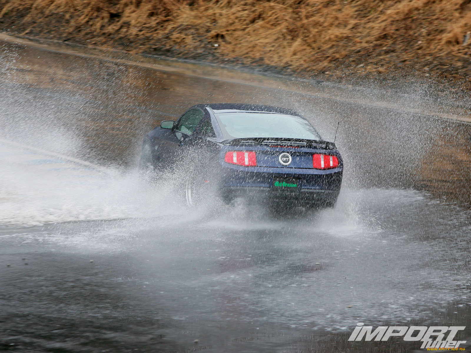 , mustang